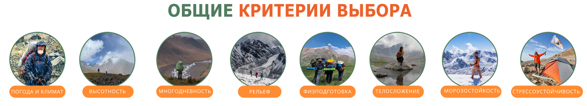 таб04.png