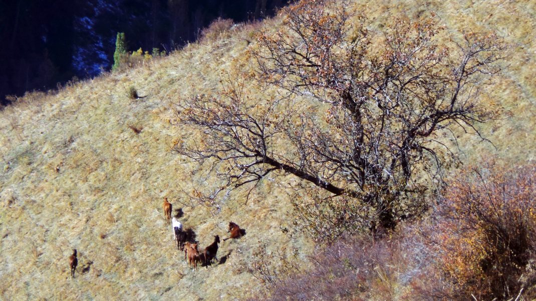 Маршрут «Гора Серкебай через Каракунгей» — фото 3