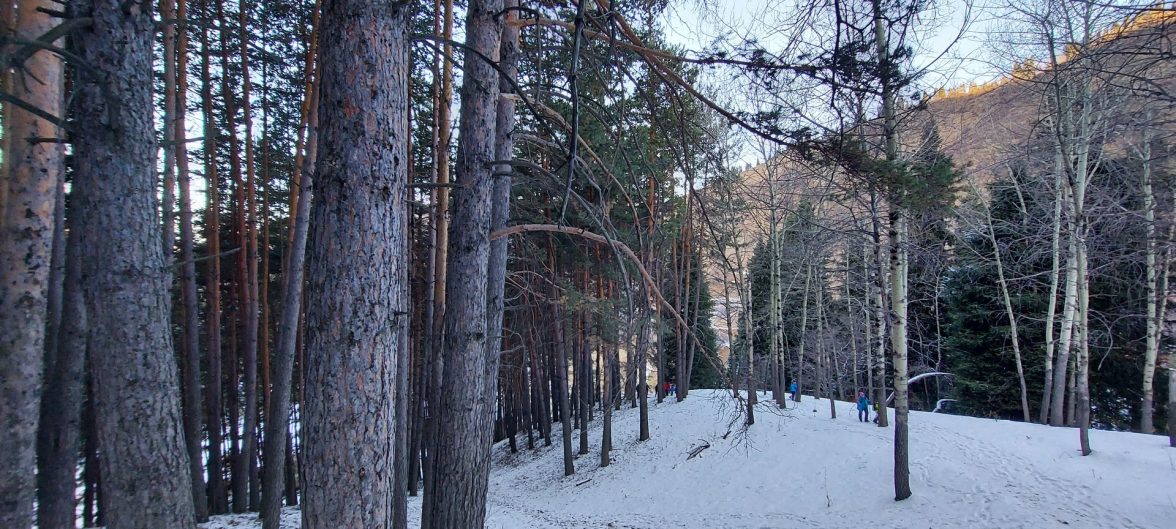 Маршрут «Кимасаровские Качели» — фото 16