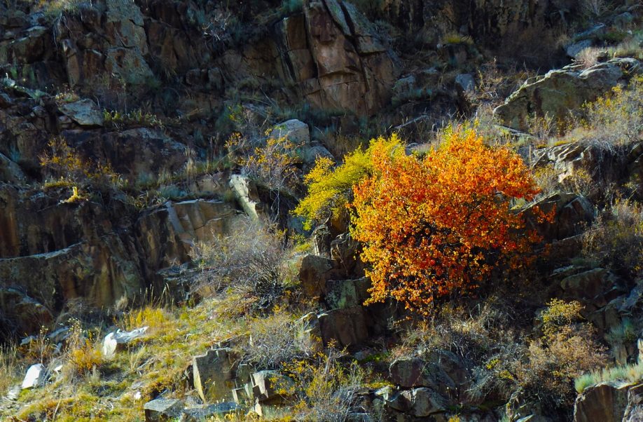 Маршрут «Узун Каргалы. Второй водопад» — фото 10