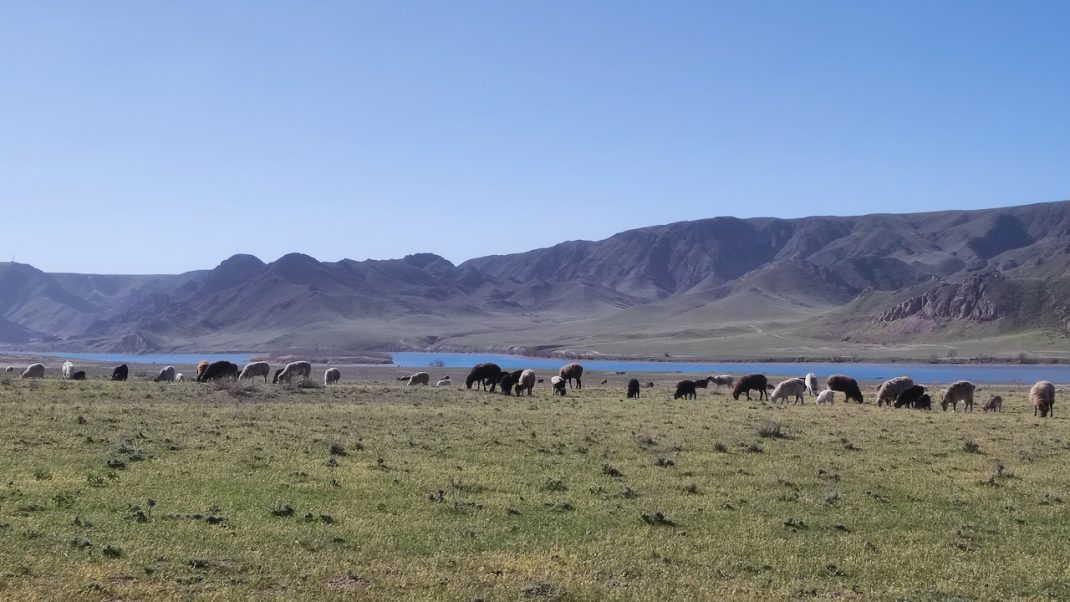 Маршрут «Dead Horses Trail» — фото 12