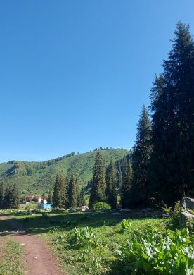 Тропа лесника в Кимасар