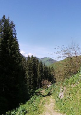 Нижний Бутаковский водопад с Медеу