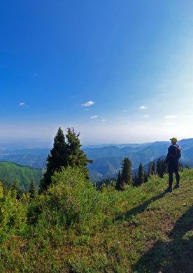Панорама Кок-Жайлау