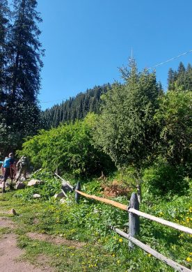 Тропа лесника в Кимасар