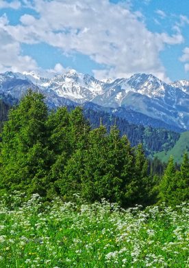 Кок-Жайлау и водопад Батарейка