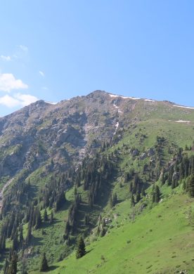 Панорама Кок-Жайлау