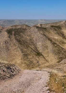 Dead Horses Trail