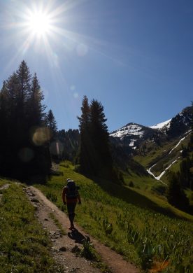 Фурмановка-Панорама (стандарт)