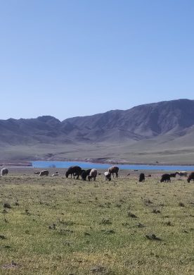 Dead Horses Trail
