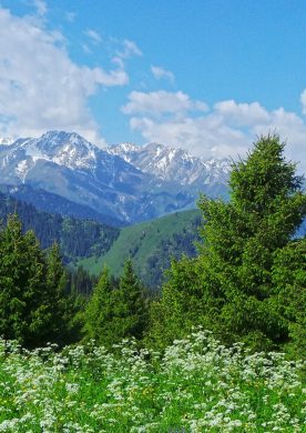 Кок-Жайлау и водопад Батарейка