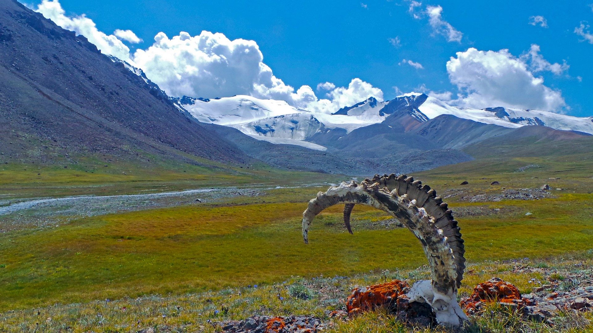 Тургенская кругосветка на запад