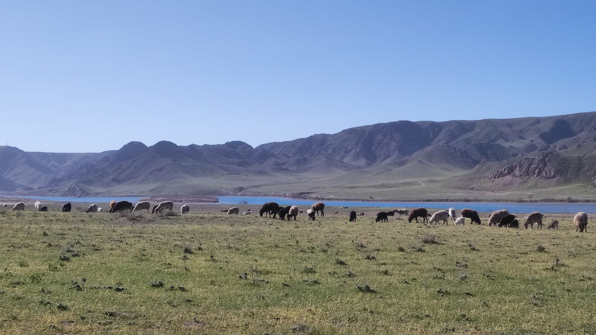 Dead Horses Trail